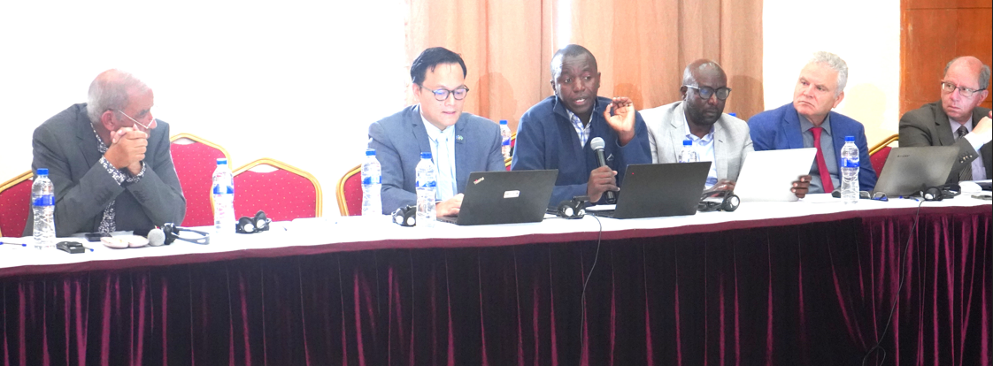 CEPA Steering Committee meeting in Addis Ababa