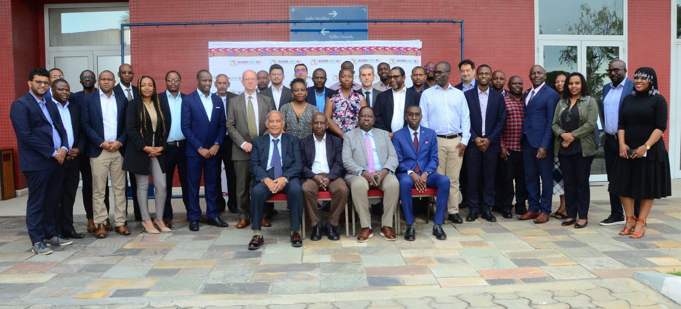 African Energy Experts Forge a Common Strategy to Transform the Continents Power Infrastructure